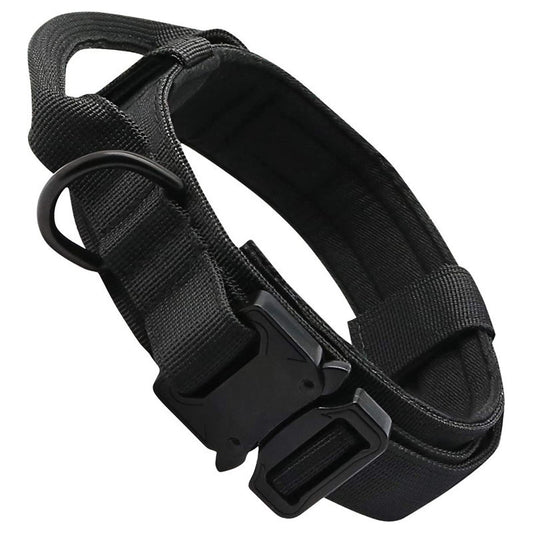 Personalized Fashion Tactical Dog Collar
