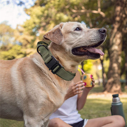 Personalized Fashion Tactical Dog Collar